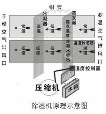 空调除湿原理科普知识（空调除湿的原理是什么?）