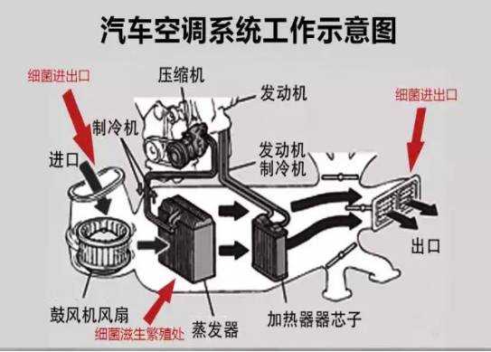 汽车空调检修知识大全视频（汽车空调基本检查与维修）